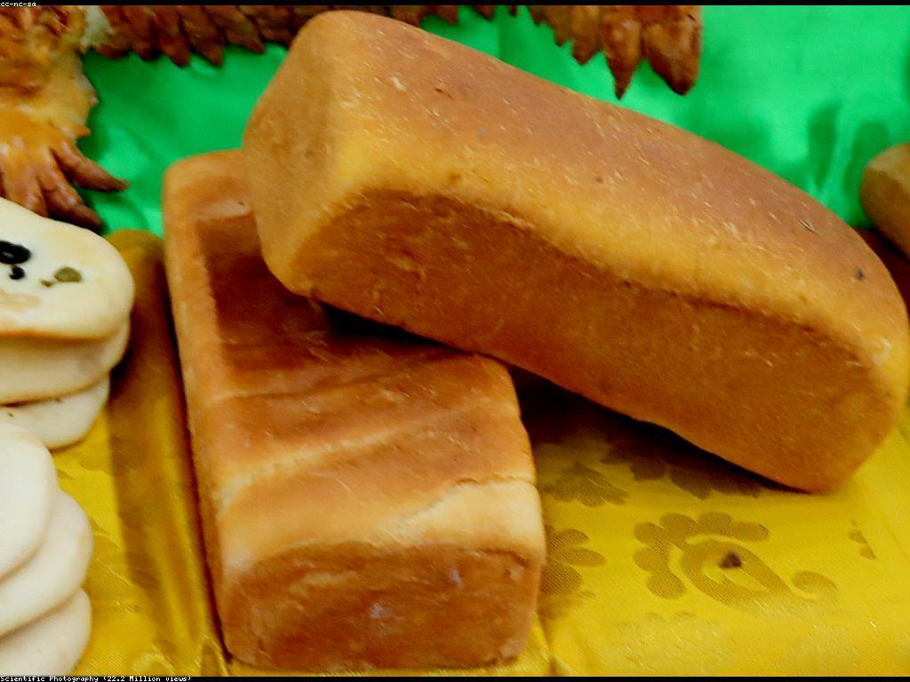 ការនាំចេញផលិតផលបាការ៉ាត់: យុទ្ធសាស្ត្រដើម្បីជោគជ័យ